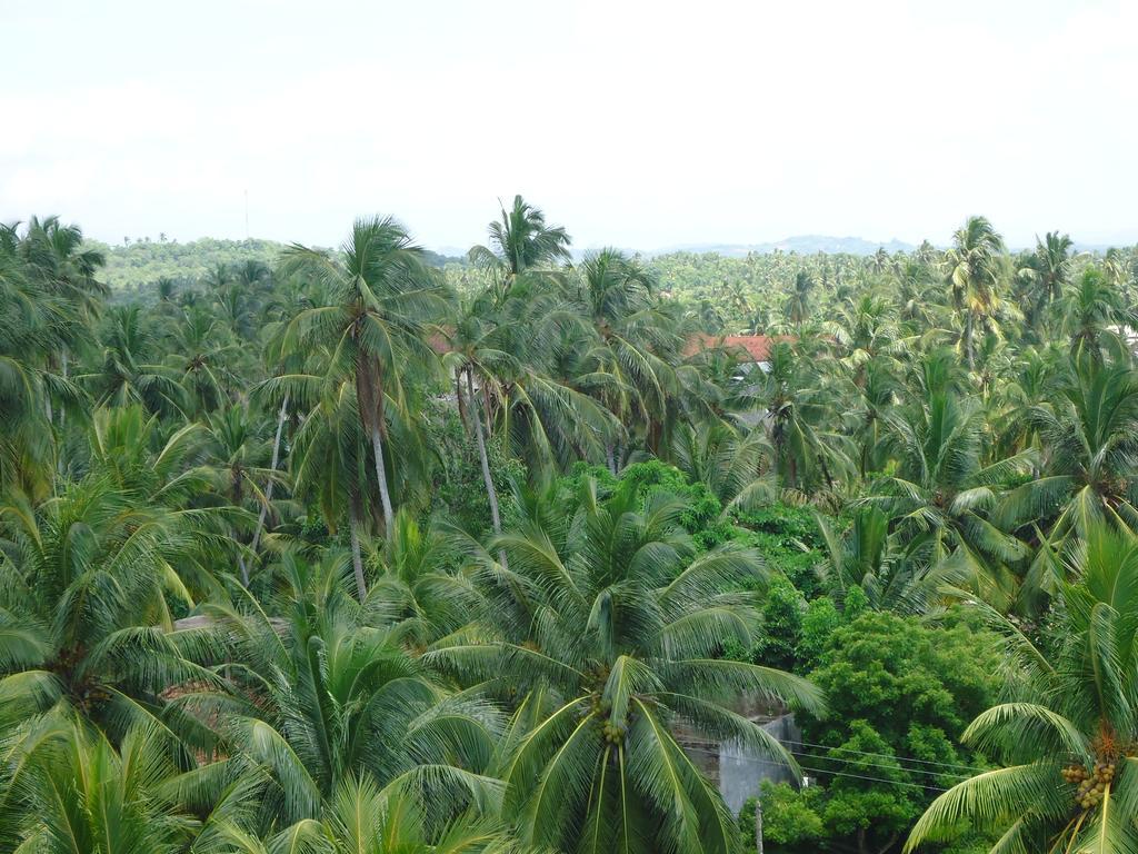 Mars Hotel Tangalle Kültér fotó