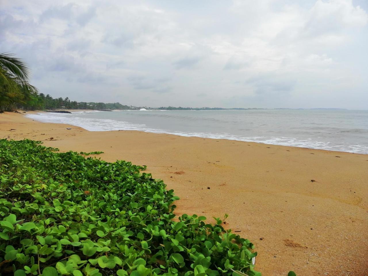 Mars Hotel Tangalle Kültér fotó