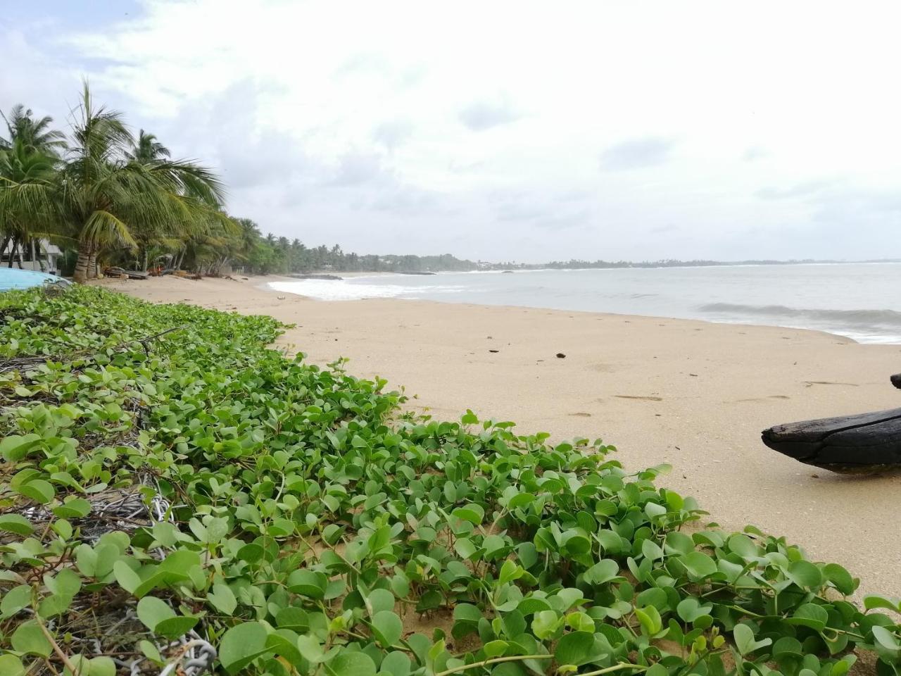 Mars Hotel Tangalle Kültér fotó