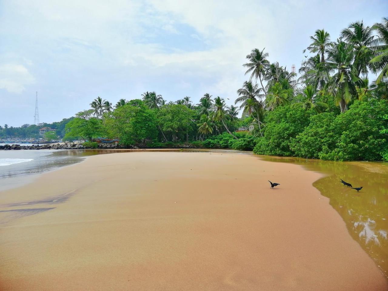 Mars Hotel Tangalle Kültér fotó