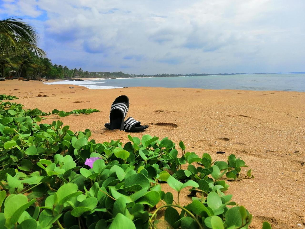 Mars Hotel Tangalle Kültér fotó